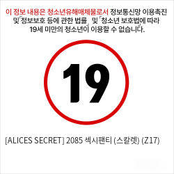 [ALICES SECRET] 2085 섹시팬티 (스칼렛) (Z17)