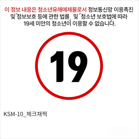 KSM-10_체크채찍