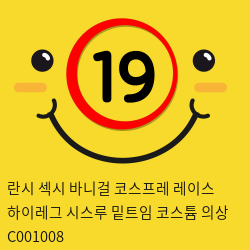 란시 섹시 바니걸 코스프레 레이스 하이레그 시스루 밑트임 코스튬 의상 C001008