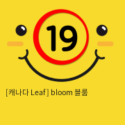 [캐나다 Leaf+] bloom+ 블룸+